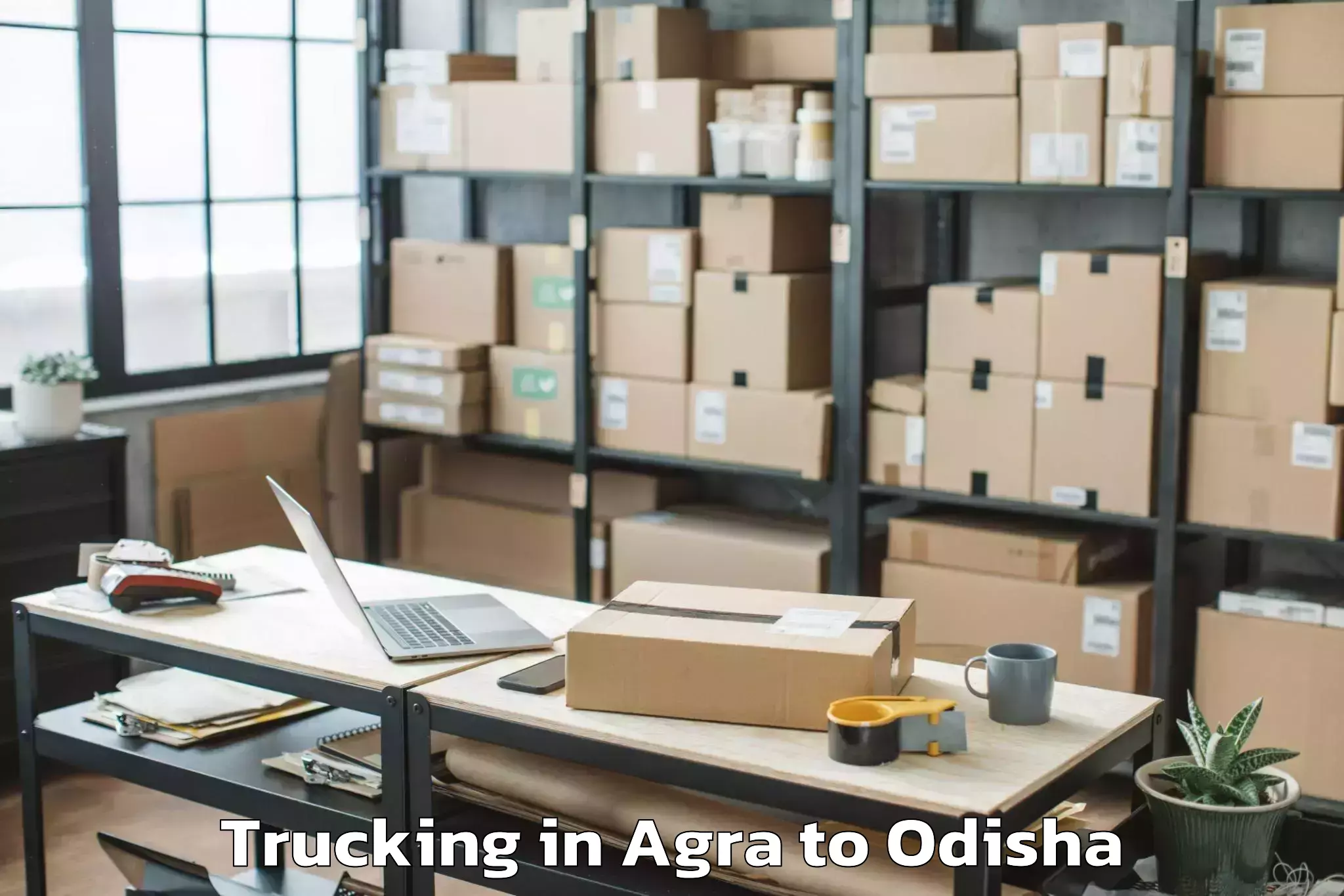 Easy Agra to Brajrajnagar Trucking Booking